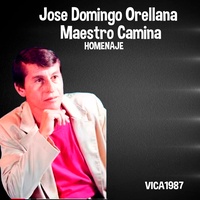 Maestro Camina homenaje