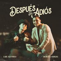 Después Del Adiós - Remix
