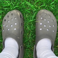 Croc Walk