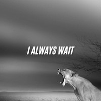 I ALWAYS WAIT