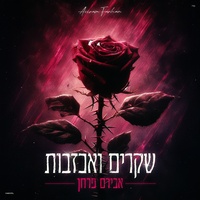 שקרים ואכזבות