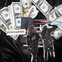PICTURE PERFECT