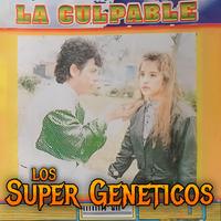 Ay Que Dolor