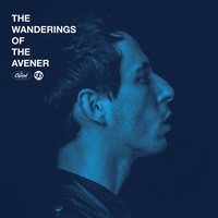 Fade Out Lines - The Avener Rework
