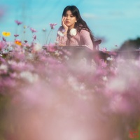 สวนดอกไม้ (flowers) - First Hook