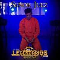 Señor Juez