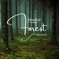 Magical Forest