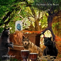 The Music Of My Heart