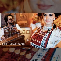 Gul Dana Dana