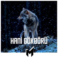 Hani Gökbörü - Remix