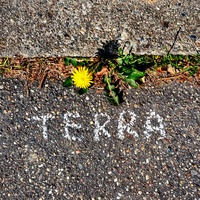 Terra