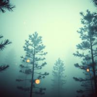 Whispering Pines