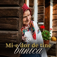 Mi-e dor de tine, bunică