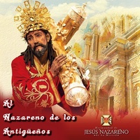 Ramito De Olivo