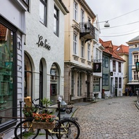 Village Vibe