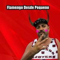 Flamengo Desde Pequeno