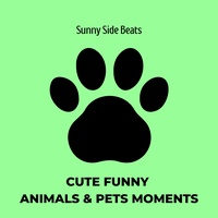 Cute Funny Animals & Pets Moments