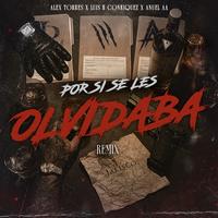 Por Si Se Les Olvidaba (Remix)