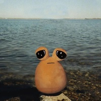 Reflexión En La Chamba