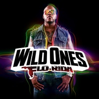 Wild Ones (Slowed Down Version)