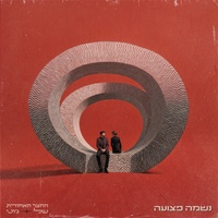 נשמה פצועה