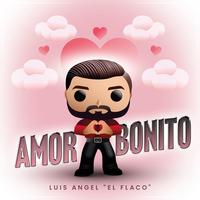 Amor Bonito (Preview)