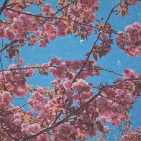 Cloud Rest(春天)