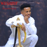 Wesanit