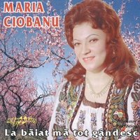 La hanul de la sosea