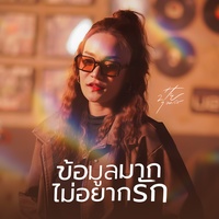 ข้อมูลมากไม่อยากรัก