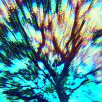 Acid