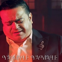 Te iubesc si tare-as vrea