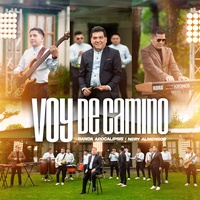 Voy de Camino