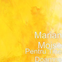 Pentru Tine Doamne