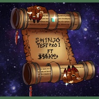 shinjo test pro 1