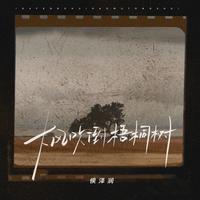大风吹倒梧桐树 - DJ阿本版