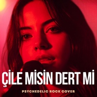 Çile Misin Dert Mi Gam Mı Keder Mi