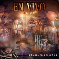 Dias Felices (En Vivo)
