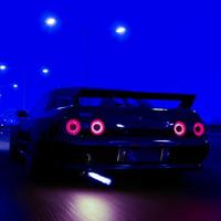 Wild Ride