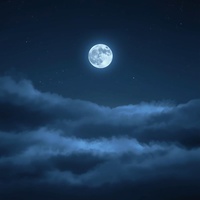 Moonlit Serenity