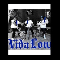 LowVida