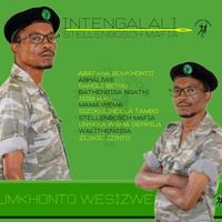 Abafana bomkhonto