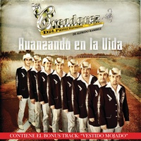 Tienes Lo Que Me Gusta - Album Version