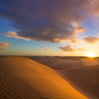 Desert