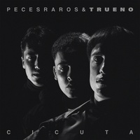 Cicuta - Remix