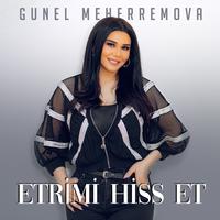 Ağlama Sehid Anasi