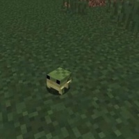 Minecraft Childhood