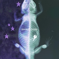 escape mode - Instrumental