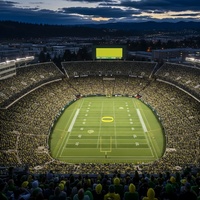Go Ducks! (Oregon)