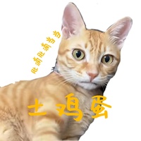 土鸡蛋(肚滴肚滴当当)